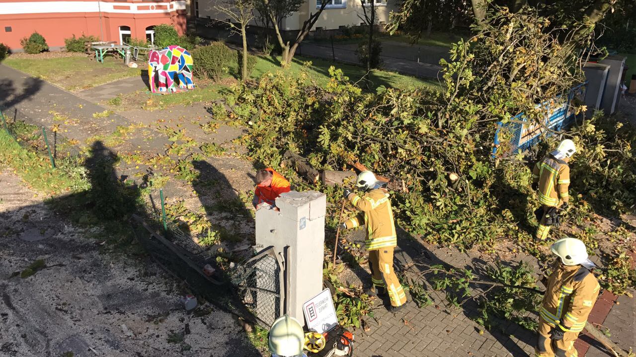 Foto 14.09.17, 11 26 47 (2)