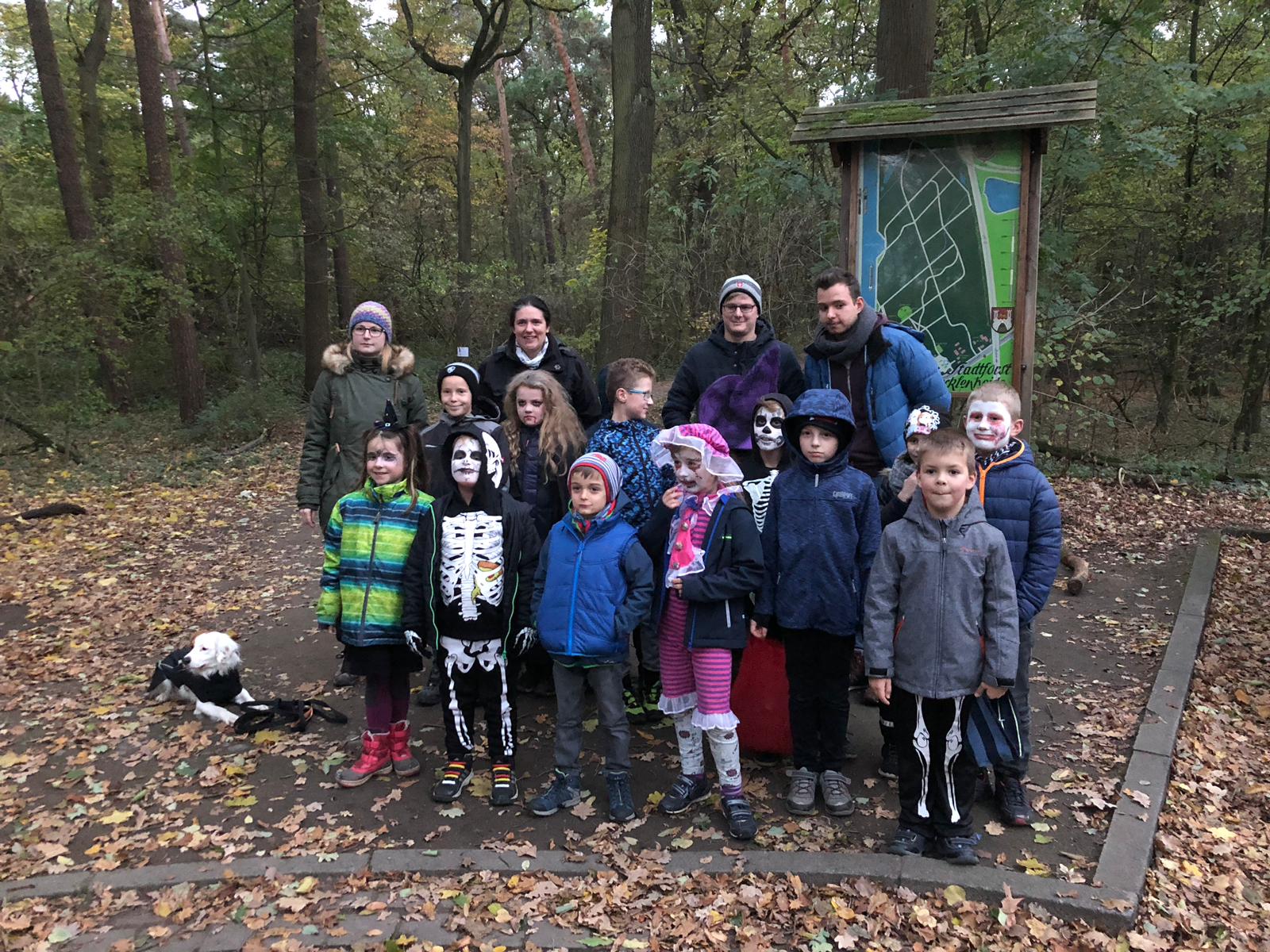 20181031 212804887 iOS